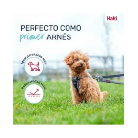 Imbracatura per Cani Company of Animals Grigio XXS 22-30 cm