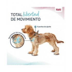 Imbracatura per Cani Company of Animals Grigio XXS 22-30 cm
