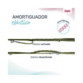 Guinzaglio per Cani Company of Animals Verde S