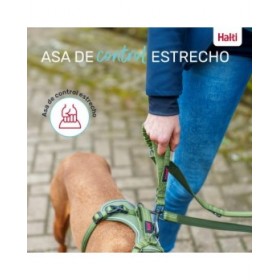 Guinzaglio per Cani Company of Animals Verde L