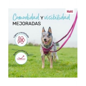 Guinzaglio per Cani Company of Animals Turchese L
