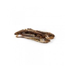 Cibo umido Snackys Pesce