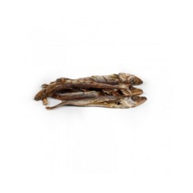 Cibo umido Snackys Pesce