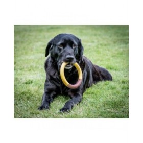 Giocattolo da mordere per cani Nylabone Ring Giallo Sandwich, Hamburger L