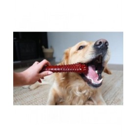 Osso Nylabone Marrone Bacon XL