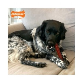 Osso Nylabone Marrone Bacon L