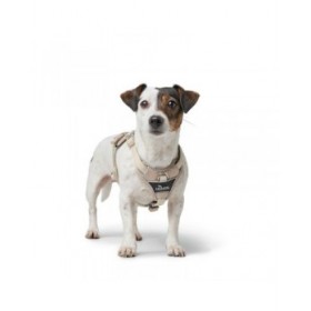 Imbracatura per Cani Hunter DIVO UP Beige S