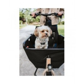 Imbracatura per Cani Hunter DIVO UP Beige L/XL