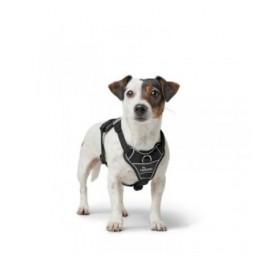 Imbracatura per Cani Hunter DIVO UP Nero S/M