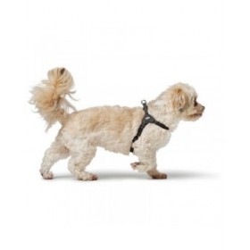 Imbracatura per Cani Hunter SOHO MINI Nero
