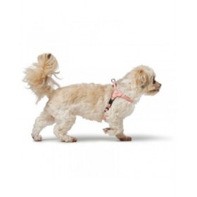 Imbracatura per Cani Hunter SOHO MINI Rosa