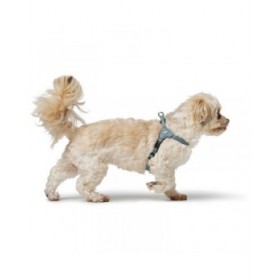 Imbracatura per Cani Hunter SOHO MINI Azzurro XS/S
