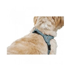 Imbracatura per Cani Hunter SOHO MINI Azzurro XS/S