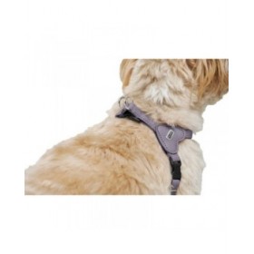 Imbracatura per Cani Hunter SOHO MINI Lilla XS/S