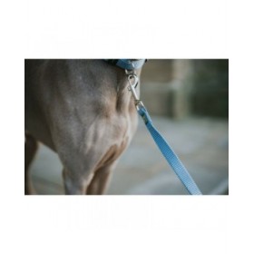 Guinzaglio per Cani Hunter Azzurro 100 cm
