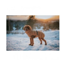 Abbigliamento per animali domestici Hunter PAXSON Marrone Poliestere