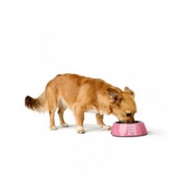 Ciotola per cani Hunter CHESTER Rosa 700 ml