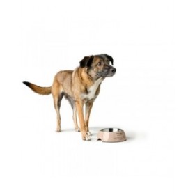 Ciotola per cani Hunter LUTON 160 ml