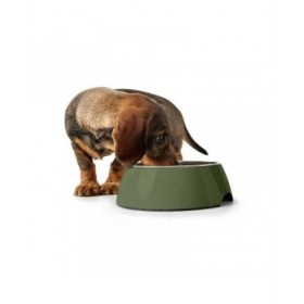 Ciotola per cani Hunter Verde 350 ml
