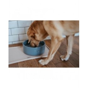 Ciotola per cani Hunter OSBY Azzurro Ceramica 1,1 L
