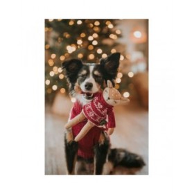 Giocattoli per cani Hunter Birka Marrone Cervo