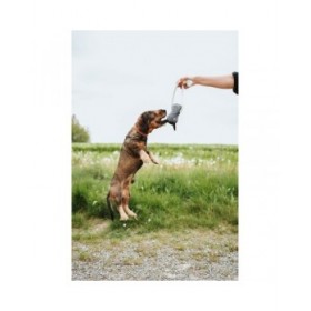 Giocattoli per cani Hunter NEBRASKA Azzurro Pecora