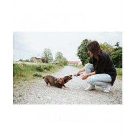 Giocattoli per cani Hunter Nebraska Marrone Mucca