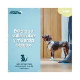 Imbracatura per Cani Coachi