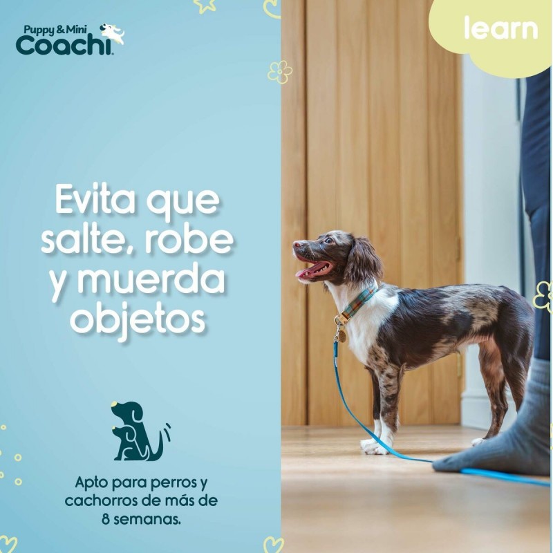 Imbracatura per Cani Coachi