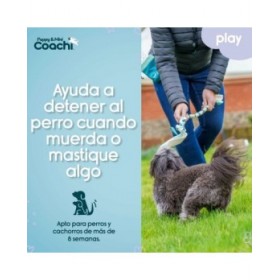 Imbracatura per Cani Coachi
