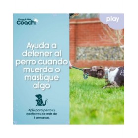 Imbracatura per Cani Coachi