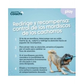 Imbracatura per Cani Coachi