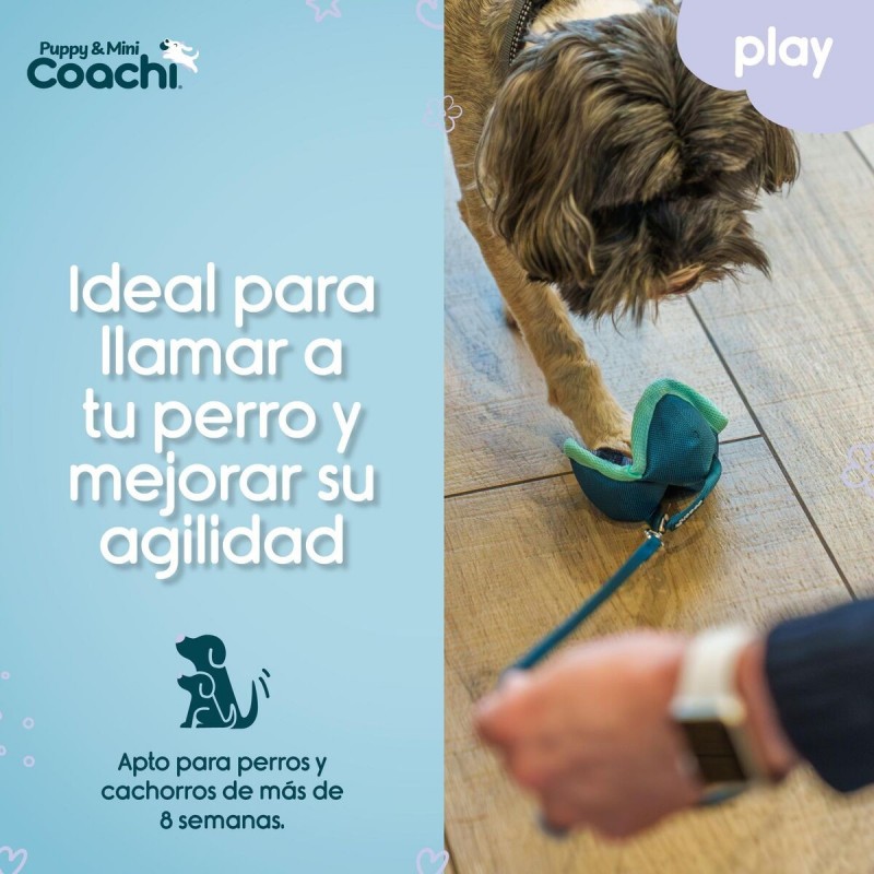 Imbracatura per Cani Coachi