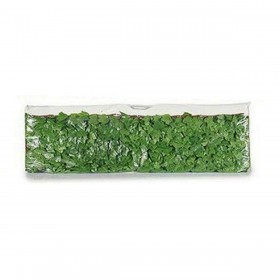 Separatore 8430852688088 Plastica Verde Chiaro