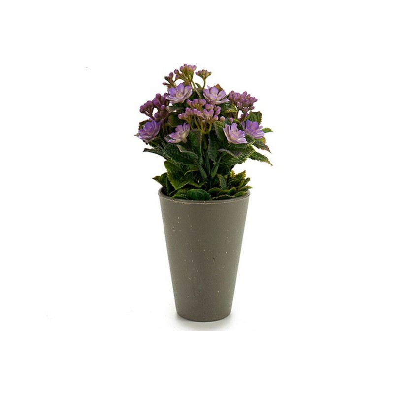 Pianta Decorativa Plastica 11 x 22 x 11 cm