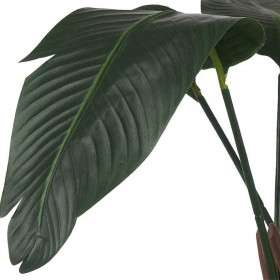Pianta Decorativa Plastica Filo di ferro Uccello del Paradiso 100 x 100 x 100 cm