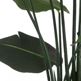Pianta Decorativa Uccello del Paradiso Verde Plastica (130 x 160 x 130 cm)