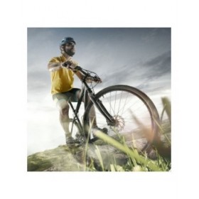 Cavo con lucchetto Ferrestock 69 cm