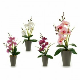 Pianta Decorativa Orchidea Plastica 8 x 35 x 14 cm (12 Unità)