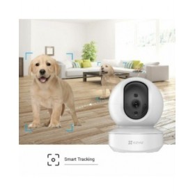Videocamera di Sorveglianza Ezviz CS-H6c-R101-1G2WF 1080 p