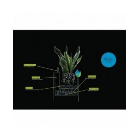 Vaso Lechuza 40 x 40 x 40 cm Grigio polipropilene Plastica
