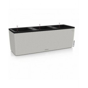 Vaso Autoirrigante Lechuza Grigio chiaro 100 x 32,5 x 34,5 cm Rettangolare