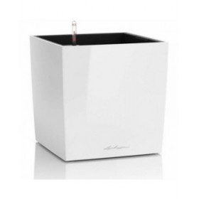 Vaso Autoirrigante Lechuza Bianco 50 x 50 cm polipropilene Plastica