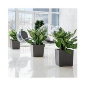 Vaso Autoirrigante Lechuza Bianco 50 x 50 cm polipropilene Plastica