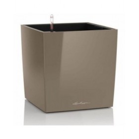 Vaso Autoirrigante Lechuza Marrone 50 x 50 cm polipropilene Plastica