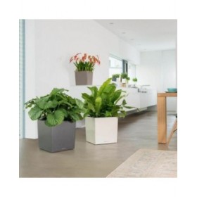 Vaso Autoirrigante Lechuza Marrone 50 x 50 cm polipropilene Plastica