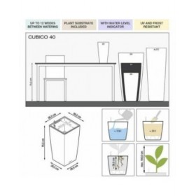Vaso Autoirrigante Lechuza Rosso 39,5 x 39,5 x 75,5 cm polipropilene Plastica Rettangolare