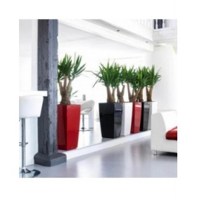 Vaso Autoirrigante Lechuza Rosso 39,5 x 39,5 x 75,5 cm polipropilene Plastica Rettangolare