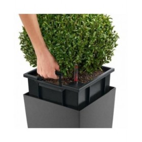 Vaso Lechuza 40 x 40 x 105 cm Plastica Rettangolare