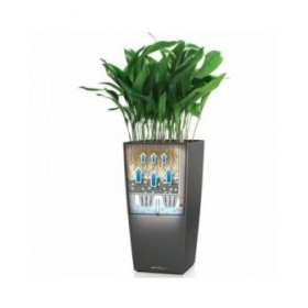 Vaso Lechuza 40 x 40 x 105 cm Plastica Rettangolare